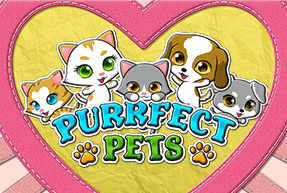 Purrfect pets thumbnail